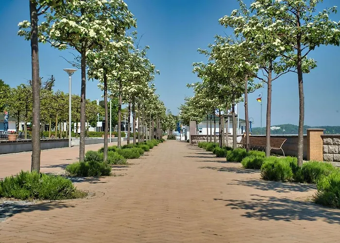 펜션 Strandnaher Ferienbungalow Mit Terrasse - Ostsee Nr 49